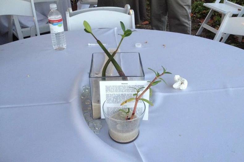 Mangrove Centerpiece