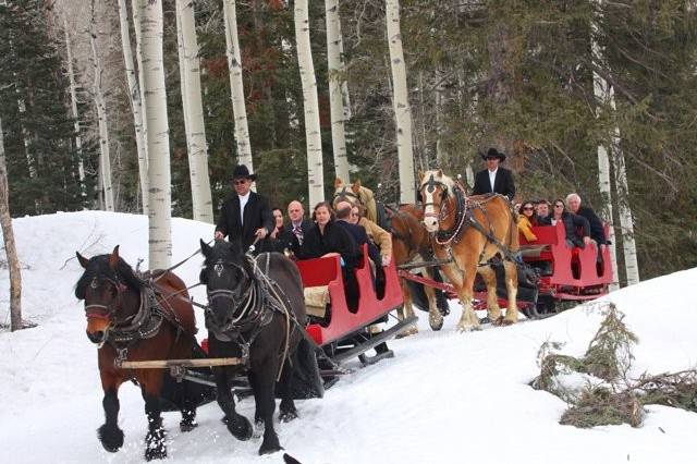 March 2011, Durango, CO - Photo credit: Molly Seeling, Cedar House Photography