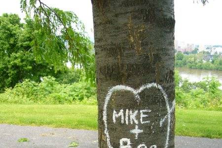 Drawing on the tree