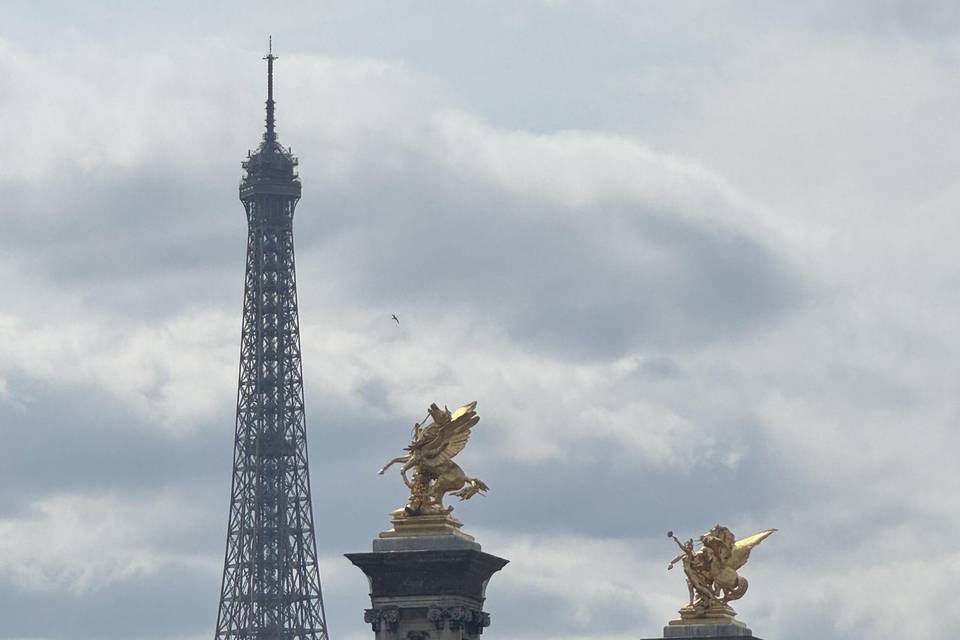 View from a River Cruise