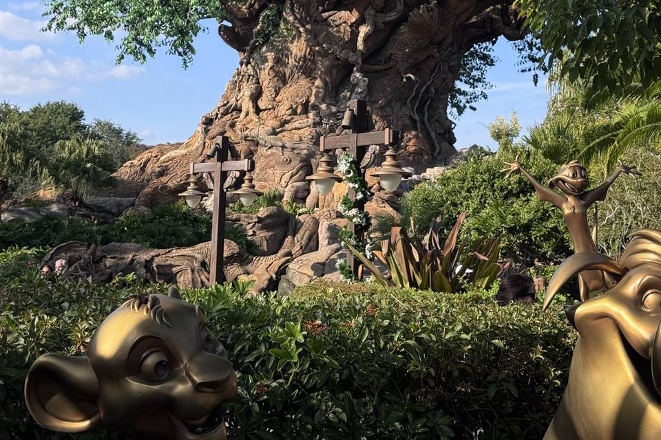 Animal Kingdom