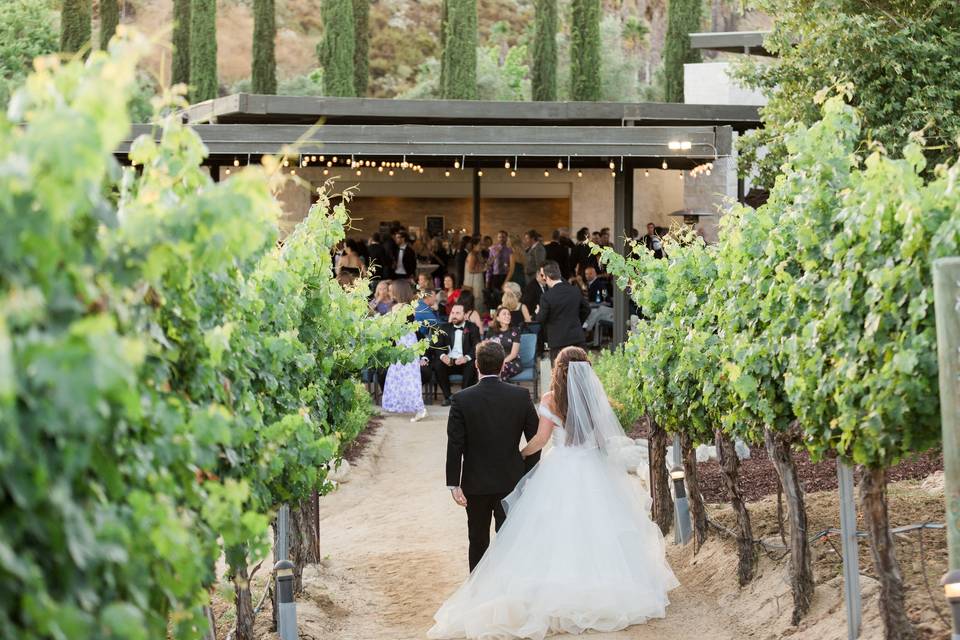 Vineyard Terrace Reception