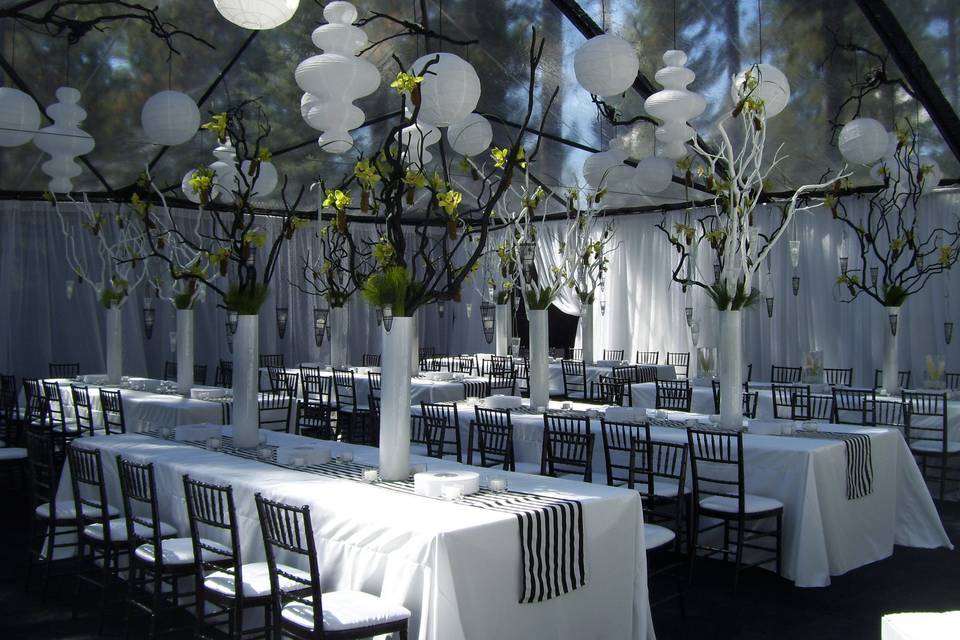White chairs with greenery