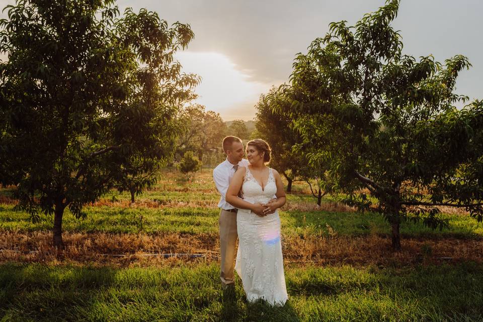 Aw, sunset pics in the orchard