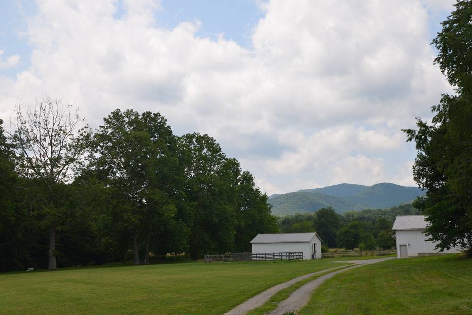 View from the driveway