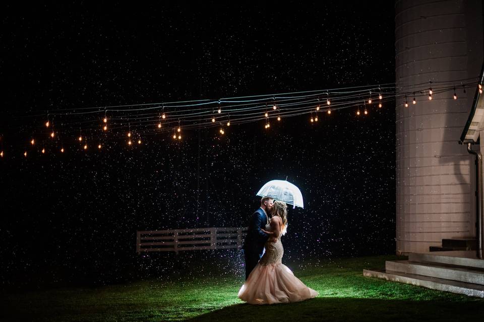 Bluebird Manor Night Portrait