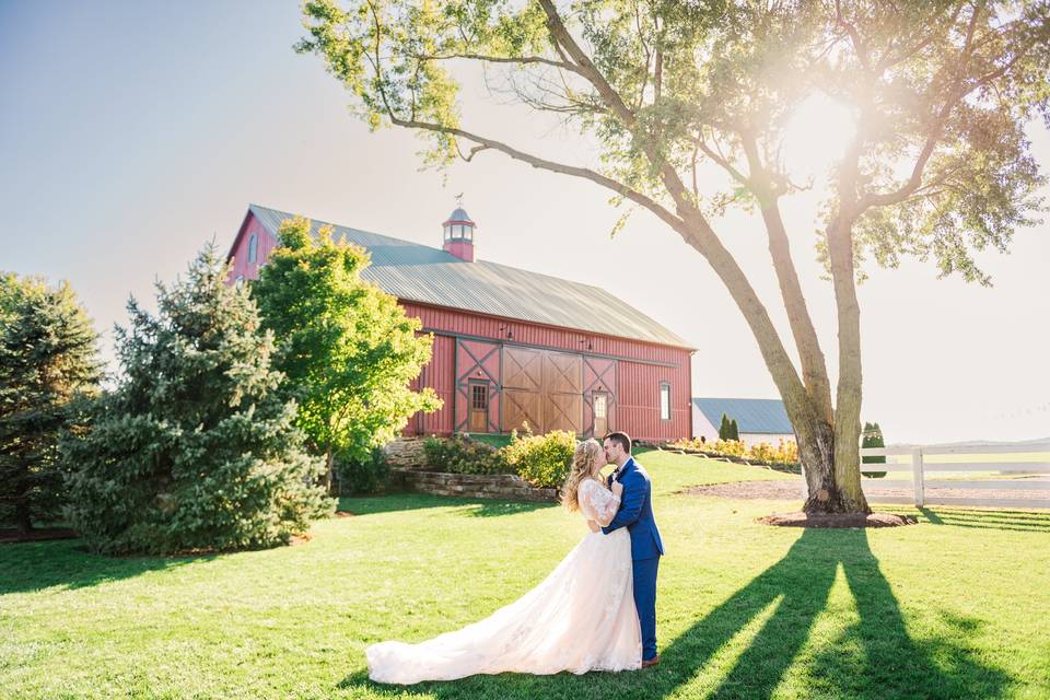 Bluebird Manor Wedding Photos