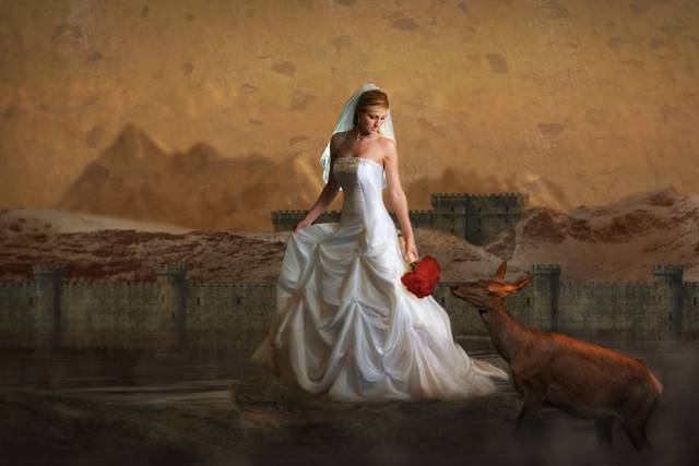 Bridal Composite Image