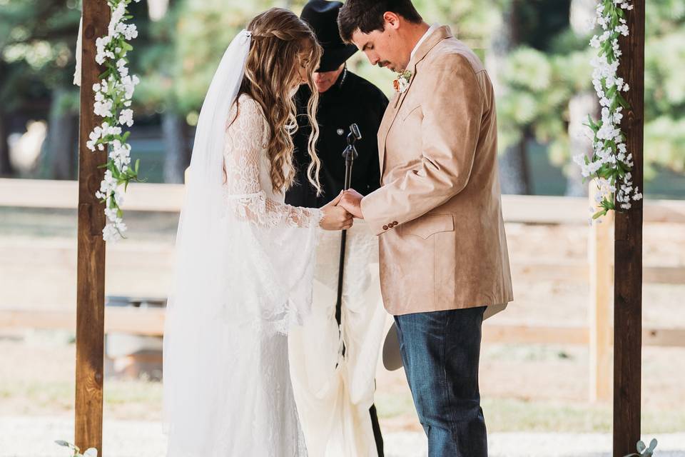 Lily & Vine Photo Co.