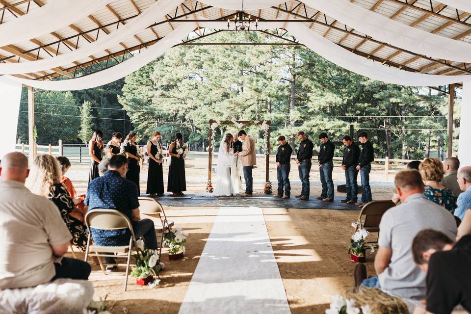 Lily & Vine Photo Co.