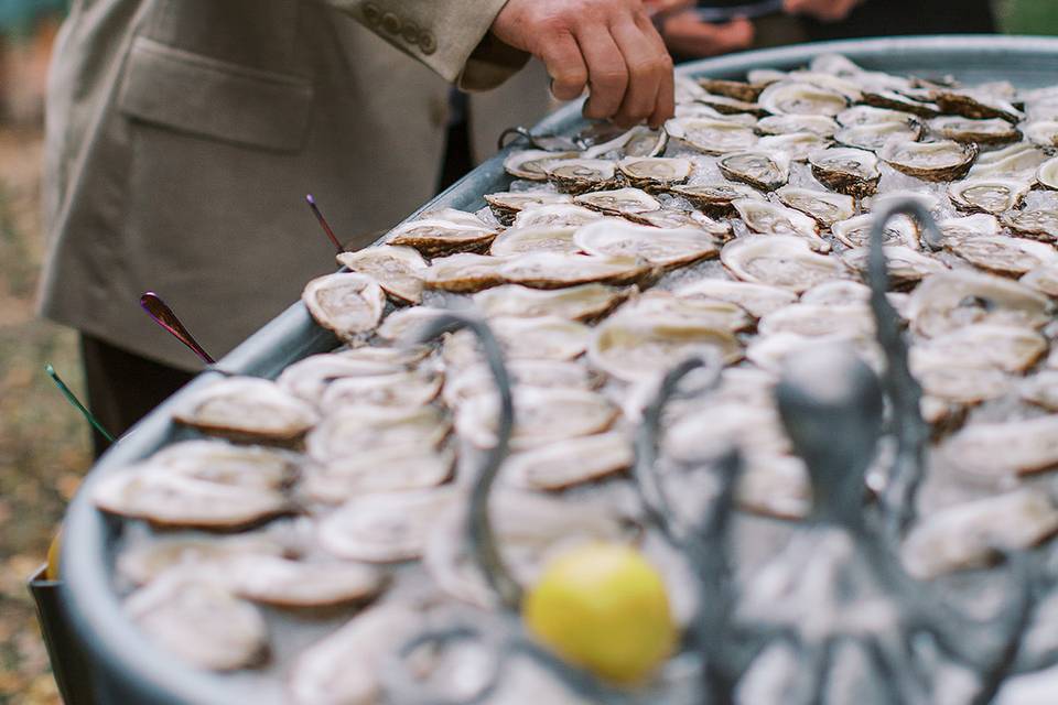 Wedding Guest at Raw Bar