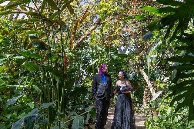 Botanic Gardens