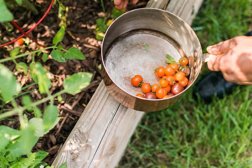 Picking fresh produce