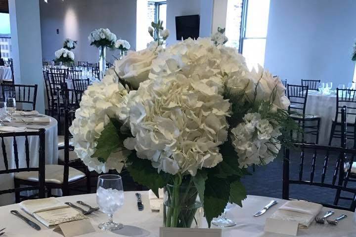 July 2017 Kujawa Wedding