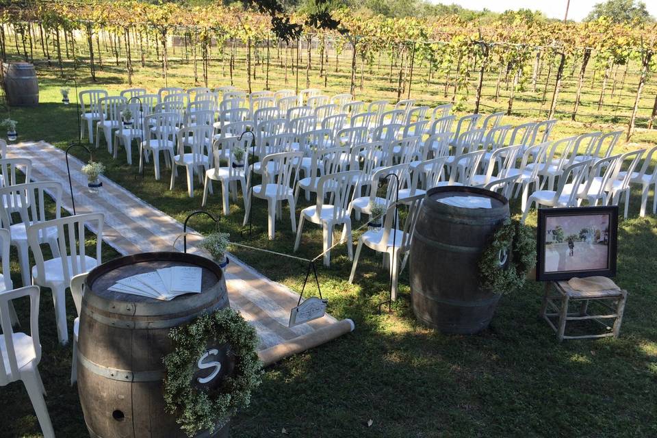 Vineyard wedding