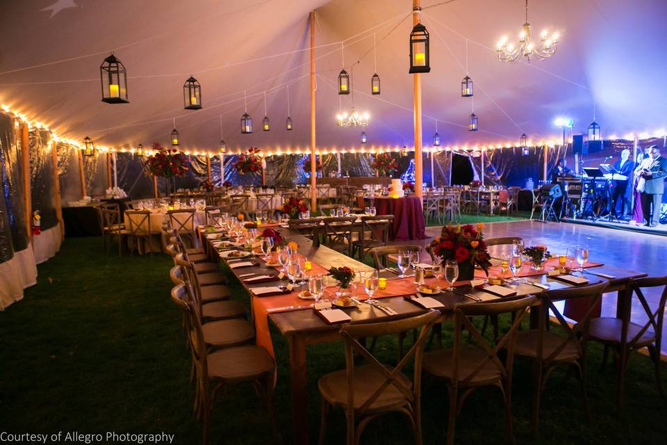 Tented reception in the maple grove