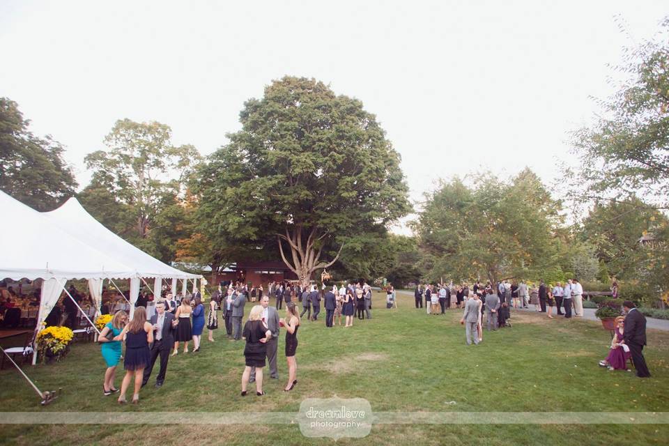 Cocktails & tented reception in the maple grove - dreamlove photography