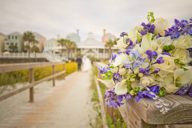 Sea Star Arts - Boutique Wedding Photography