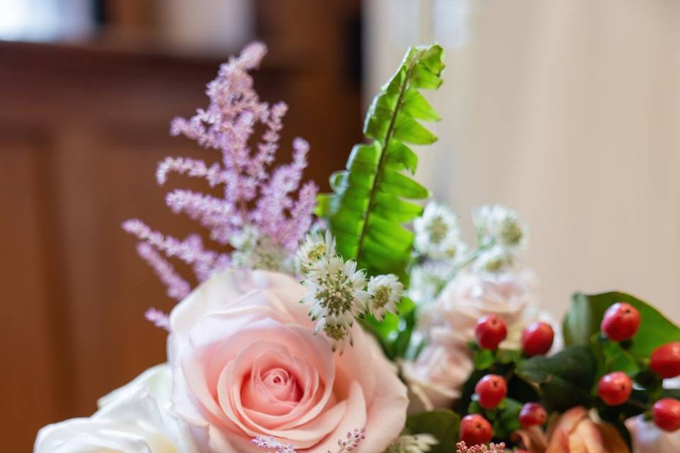 Blooms