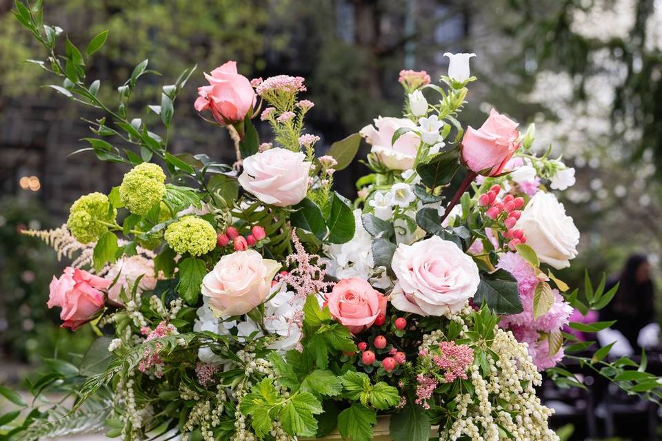 Blooms