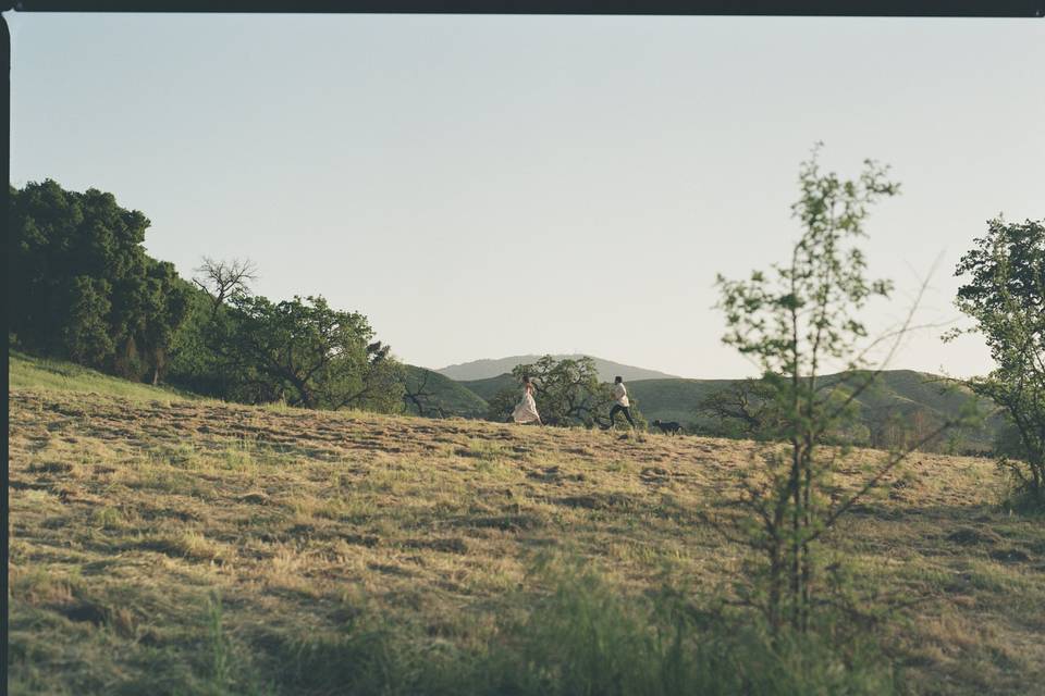 Engagement shoot