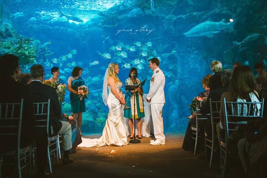 Aquarium wedding