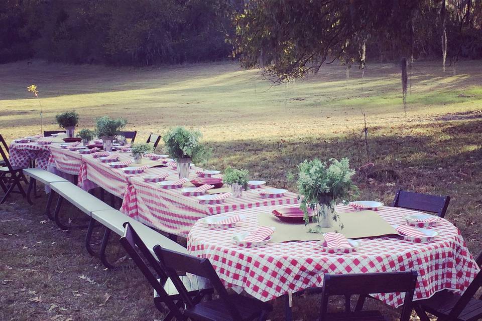 Don't forget!  We have plenty of land to set up a rehearsal dinner too!  This view is at the lodge adjacent to the fire pit and stage area.