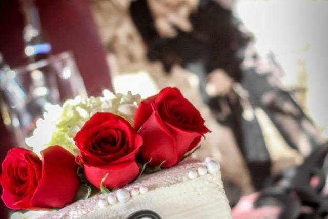 Melissa Lea Photography