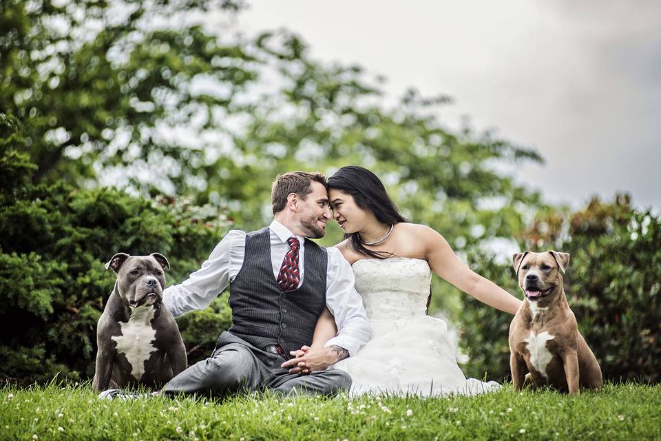 Tom Pappa Photography