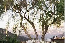 Table setting