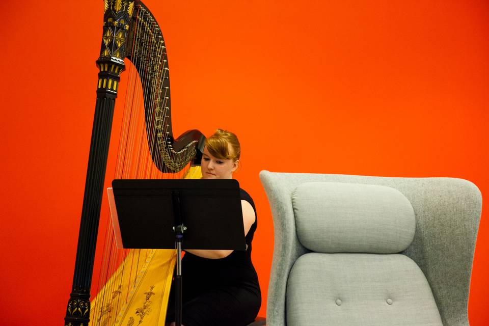 Laura Stokes Harpist