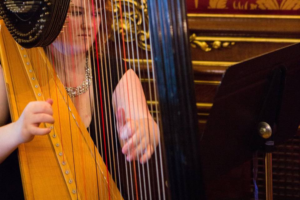 Laura Stokes Harpist