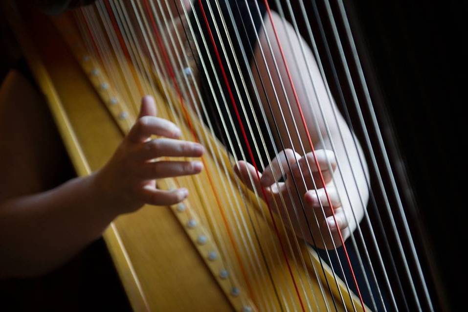 Laura Stokes Harpist