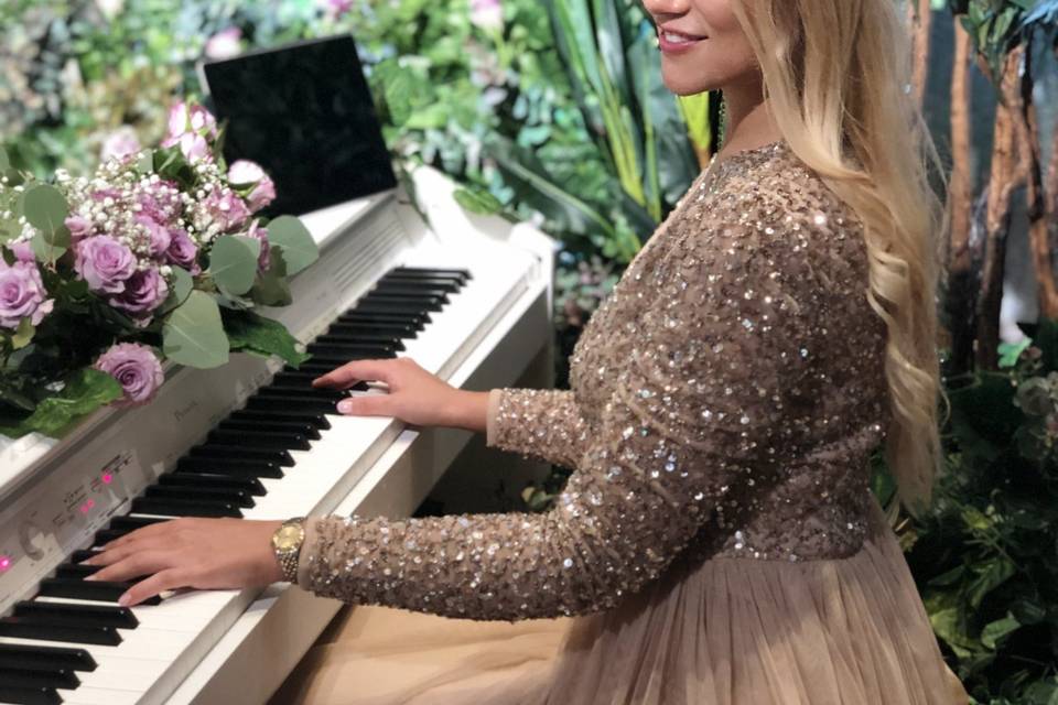 Wedding dinner pianist