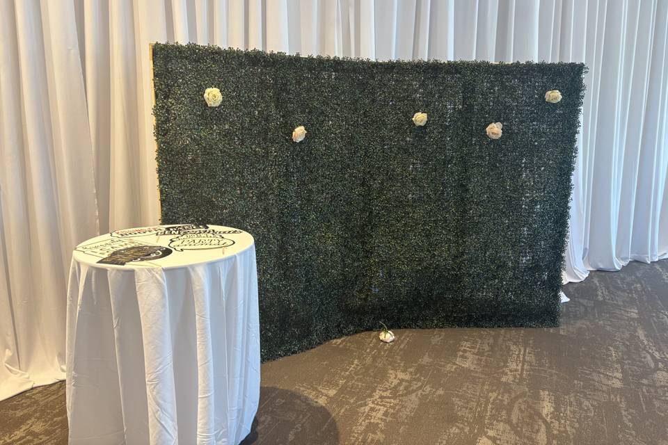 Backdrops
