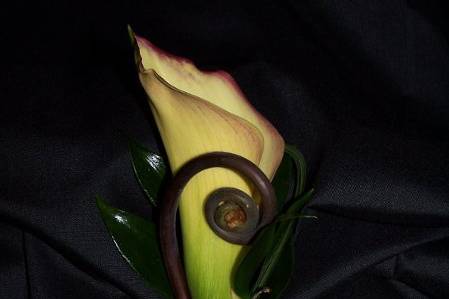 Calla Boutonniere