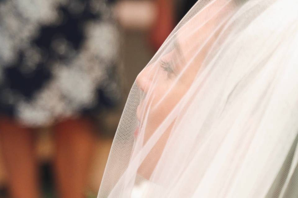 Bride's Veil