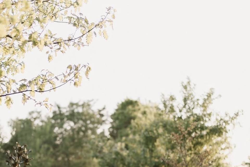 Bridal