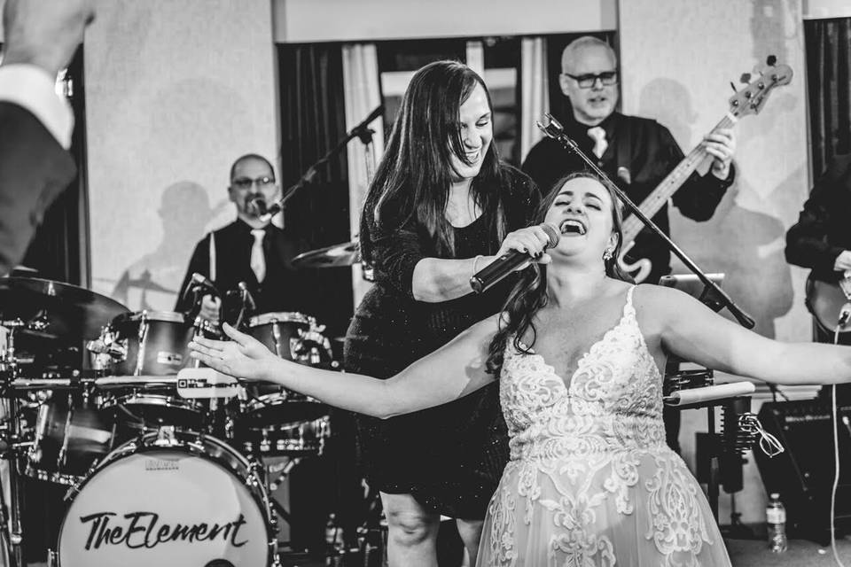 The Element - Cleveland Ohio Wedding and Event Band