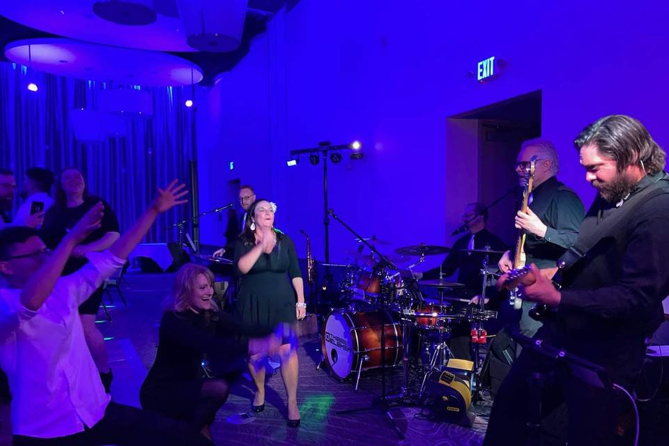 The Element - Cleveland Ohio Wedding and Event Band