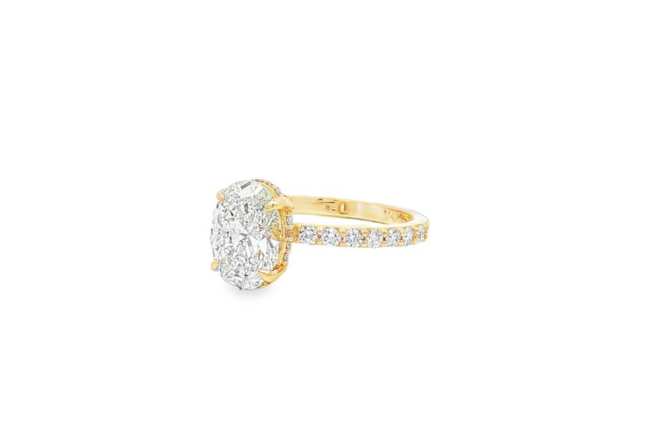 Traditional Hidden Halo