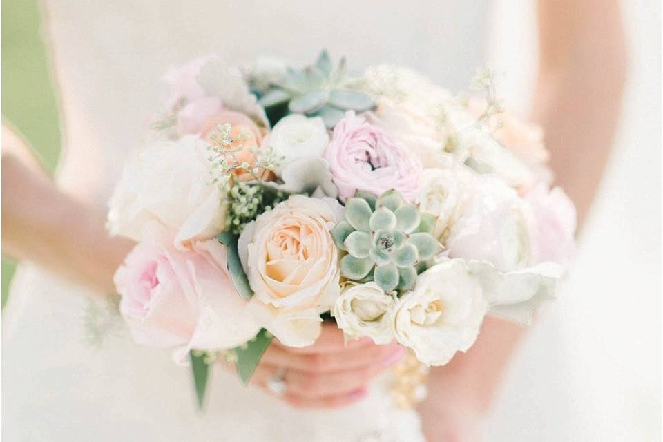 Soft and pretty, pastels and succulents