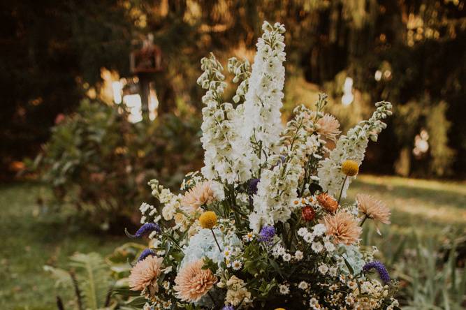 Backyard wedding