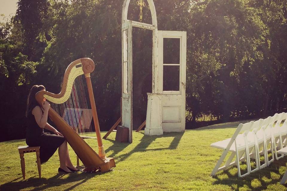 Emily Oskins, harpist