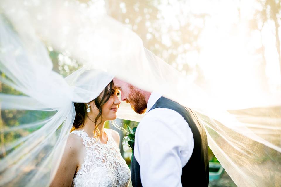 Red Horse Barn Wedding