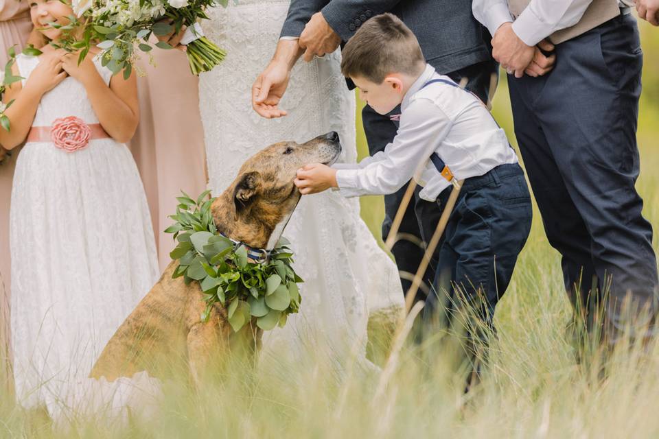 Mountain Wedding