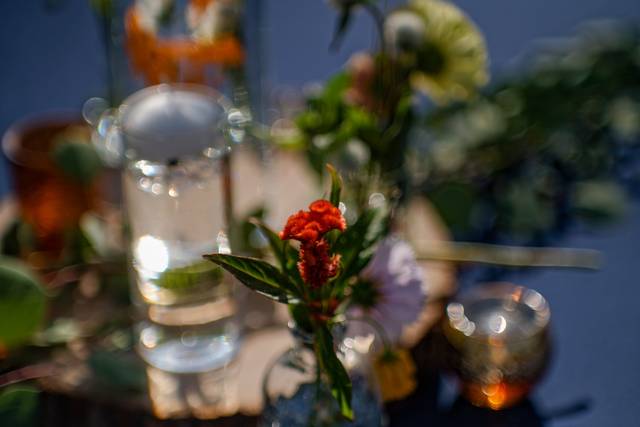 Bella Poggio Events