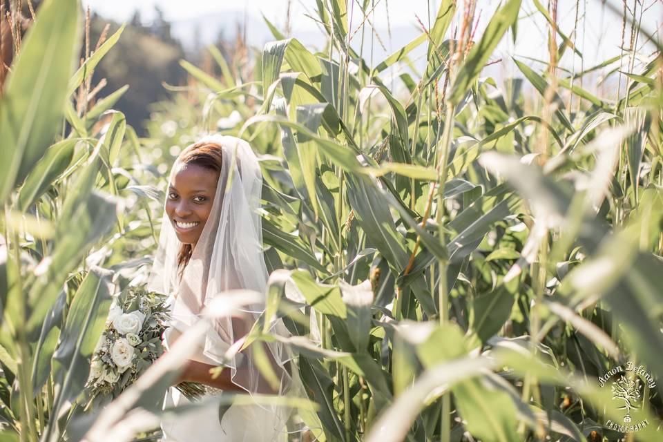 Switzerland wedding