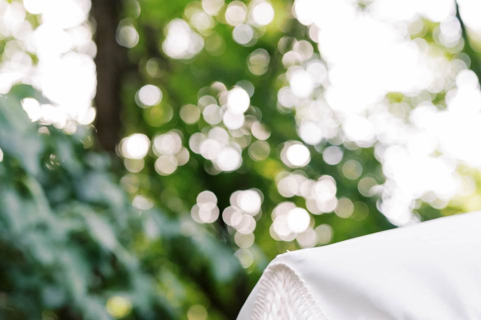 Outdoor reception