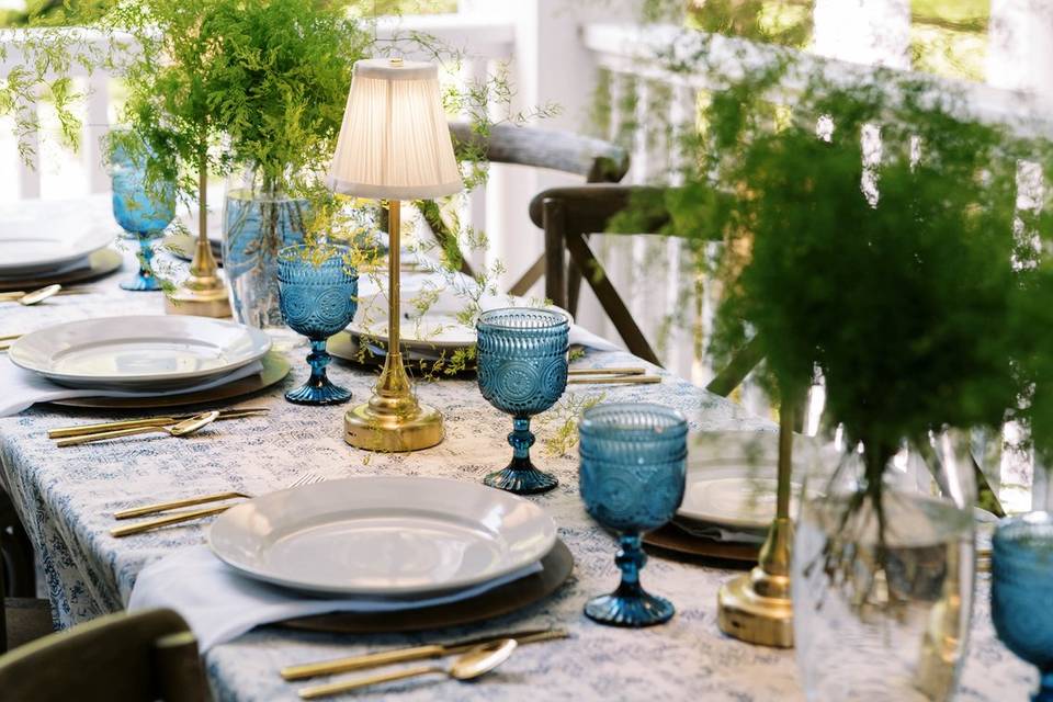 Outdoor dinner